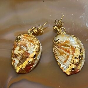 Gold and Cream Shell Earrings